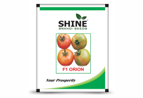 Tomato-Orion F1 (10 gm)